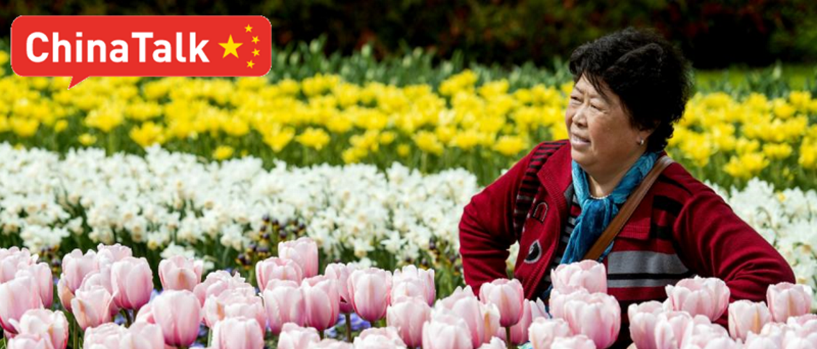 Social Media & Chinese Tourism